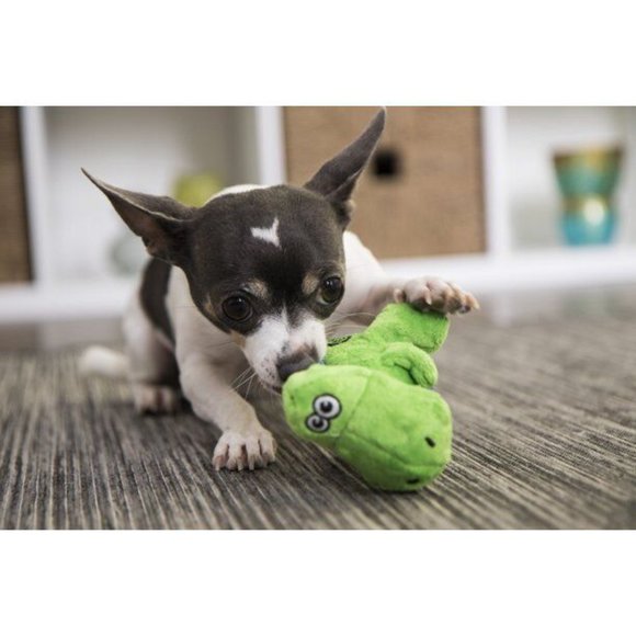 Godog ~ Dinosaur For Small Dogs - Squeaky Dog Toy - Picture 2 of 4
